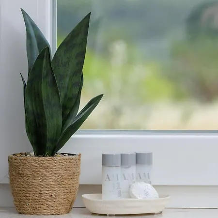 Apartment Azure Pine Trogir