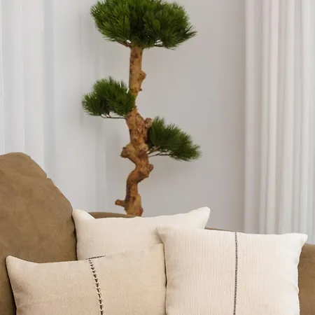 Azure Pine Apartment *